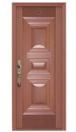 Steel copper door